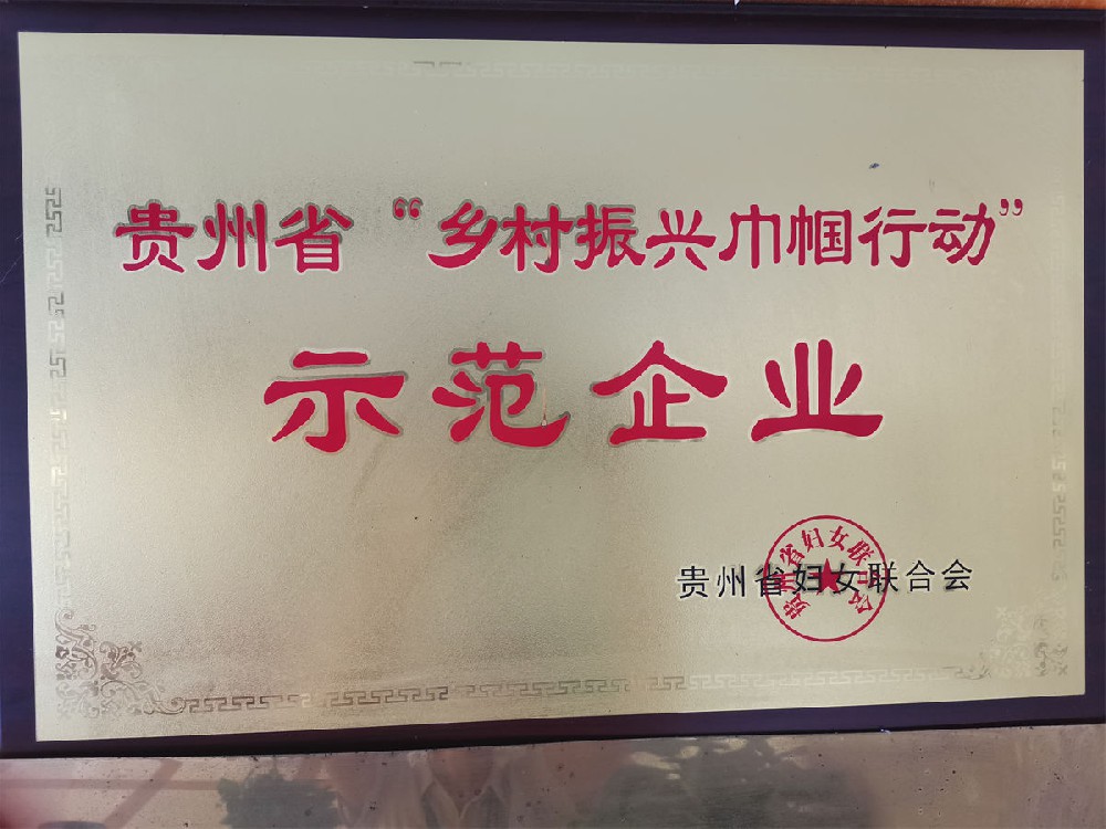 贵州省 “乡村振兴巾帼行动”食示范企业